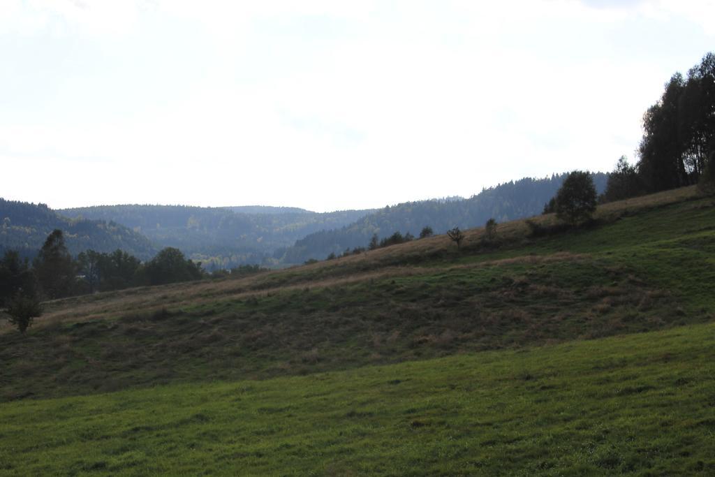 Sloneczna Zagroda - Sunny Ridge Farm Farm stay